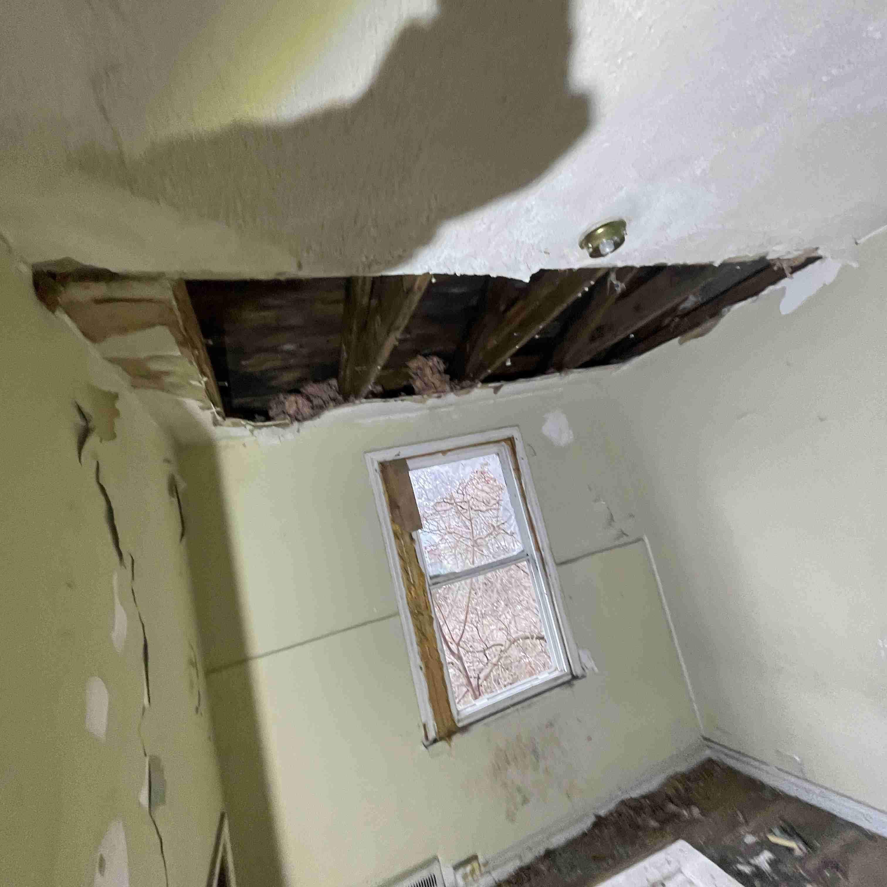 20015 Schoenherr (48).jpg